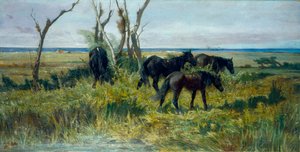 Pascolo in Maremma. Cavalli al pascolo, c.1872 da Giovanni Fattori
