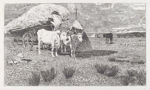 Buoi al carro (Maremma) da Giovanni Fattori
