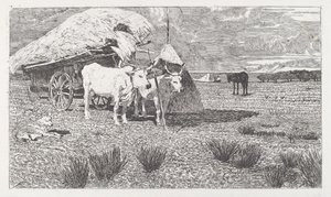 Buoi al Carro (Maremma) da Giovanni Fattori