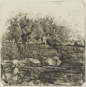 Alberi in un prato da Giovanni Fattori