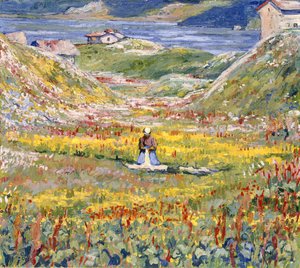Prati fioriti a Maloja; Blühende Wiesen bei Maloja, c.1912-1924 da Giovanni Giacometti