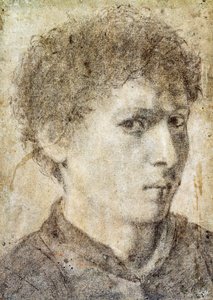 Testa di ragazzo, disegno di Gian Girolamo Savoldo da Giovanni Girolamo Savoldo