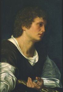 San Giovanni Evangelista da Giovanni Girolamo Savoldo