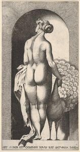 Tavola 4: Giunone in piedi in una nicchia, vista da dietro, accarezza un pavone alla sua destra, fr..., 1526