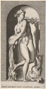 Tavola 6: Teti in piedi in una nicchia con una conchiglia e una creatura marina, che versa acqua, 1526
