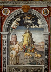 Segno dello Zodiaco: 