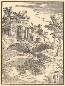 Uccello e serpente