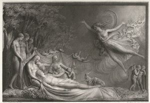 La morte di Adone da Giovanni Martino dei Boni