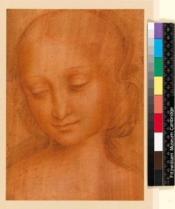 Testa di donna (gesso su carta)