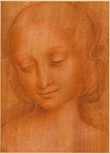 Testa di donna
