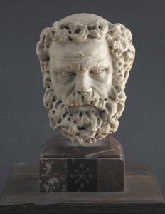Testa di uomo barbuto