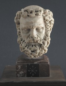 Testa di un uomo barbuto