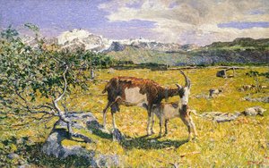 Le Alpi a maggio