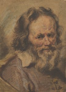 Testa di un uomo barbuto