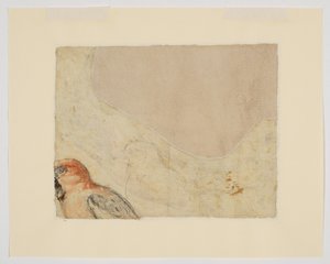 Studio di uccelli, verso (gesso su carta) da Giovanni da Udine (after)