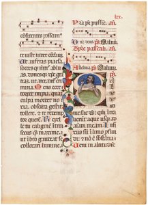 Il Salmista nel mare, iniziale "S" su un foglio di un Breviario miniato, Bologna o Ferrara, 1440 circa (inchiostro e colore su pergamena) da Giovanni di Antonio da Bologna