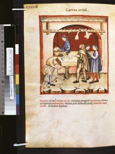 Theatrum sanitatis di Ububchasym de Baldach: 