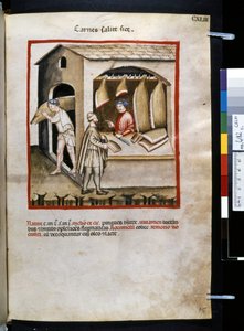 Theatrum sanitatis di Ububchasym de Baldach: 