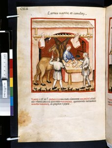 Theatrum sanitatis di Ububchasym de Baldach: 