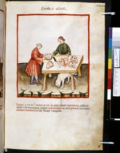 Theatrum sanitatis di Ububchasym de Baldach: 