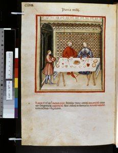 Theatrum sanitatis di Ububchasym de Baldach: 