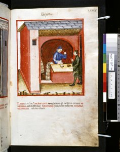 Theatrum sanitatis di Ububchasym de Baldach: 