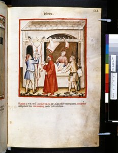 Theatrum sanitatis di Ububchasym de Baldach: 