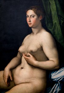 Ritratto di una donna. XVI secolo