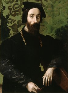 Ritratto di musicista, 1540 circa (olio su tavola) da Girolamo Mazzola (attr.) Bedoli