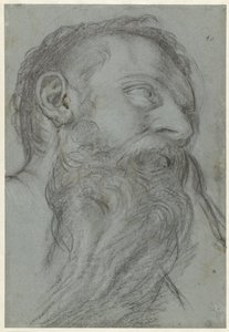 Studio di una testa di profeta
