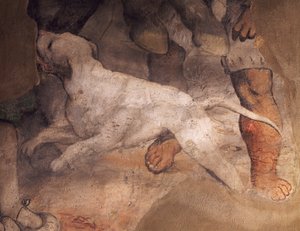Figura di cane (dettaglio) da Girolamo Romanino