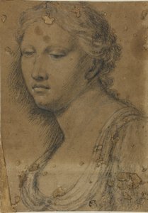 Busto di Donna