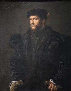 Ritratto di un gentiluomo in nero da Girolamo da Carpi