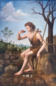 San Giovanni Battista da Giuliano Bugiardini