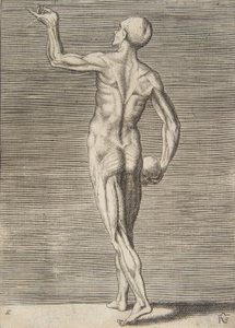 Uomo visto di spalle, con un teschio nella mano destra, XVI secolo da Giulio Bonasone