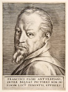 Ritratto di Frans Floris, XVI secolo