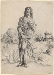San Giovanni Battista da Giulio Campagnola