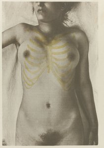 Foto anatomica di un cadavere femminile: 