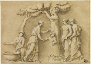 Nascita di Adone da Giulio Romano