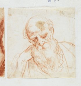 Testa di Uomo Barbuto che Guarda in Basso da Giuseppe Cesari