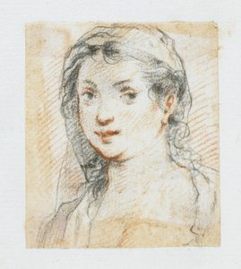 Testa di Donna da Giuseppe Cesari
