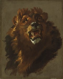 Leone, 1750