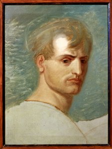 Ritratto di Napoleone Bonaparte