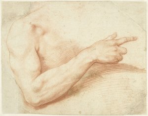 Studio di un braccio