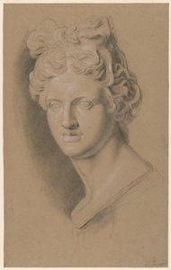 Studio accademico di un busto femminile classico