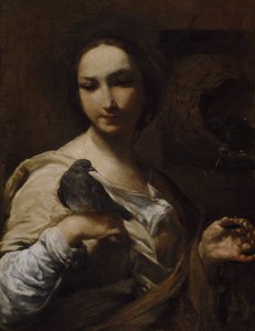 Ragazza con una colomba, 1721-27