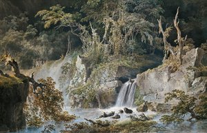 Paesaggio con cascata