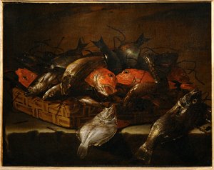 Natura morta con pesci ... da Giuseppe Recco