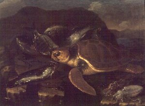 Natura morta con un pesce e una tartaruga