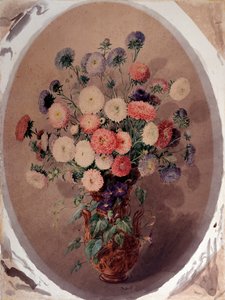 Mazzo di margherite